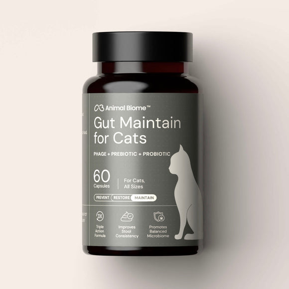 Kitty Biome GMP Gut Maintenance Plus Triple Action for Cats 60 small capsules - Cat Digestive & Probiotics Supplements 1