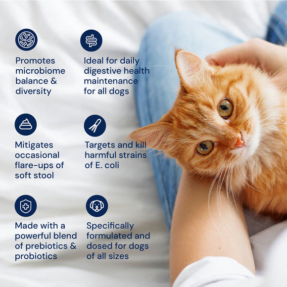 Orange cat being held by a person with text about pet health benefits on a white background