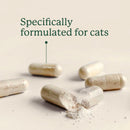 Kitty Biome GMP Gut Maintenance Plus Triple Action for Cats 60 small capsules - Cat Digestive & Probiotics Supplements 7