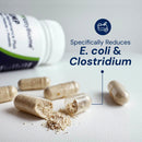 Supplement capsules with a bottle labeled 'NutraFlora' on a light background, highlighting E. coli and Clostridium reduction.