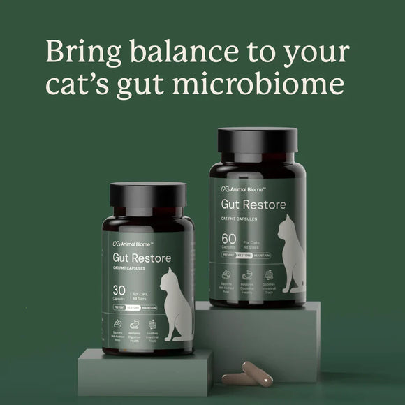 Kitty Biome Gut Restore Supplement FMT Capsules for Cats - Cat Digestive & Probiotics Supplements 7