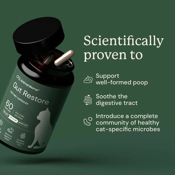 Kitty Biome Gut Restore Supplement FMT Capsules for Cats - Cat Digestive & Probiotics Supplements 4