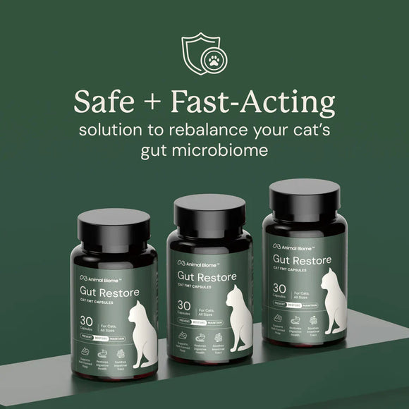 Kitty Biome Gut Restore Supplement FMT Capsules for Cats - Cat Digestive & Probiotics Supplements 9