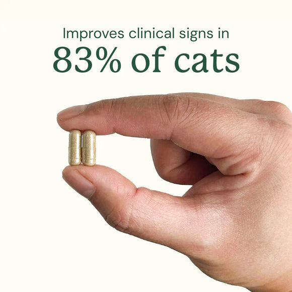 Kitty Biome Gut Restore Supplement FMT Capsules for Cats - Cat Digestive & Probiotics Supplements 3