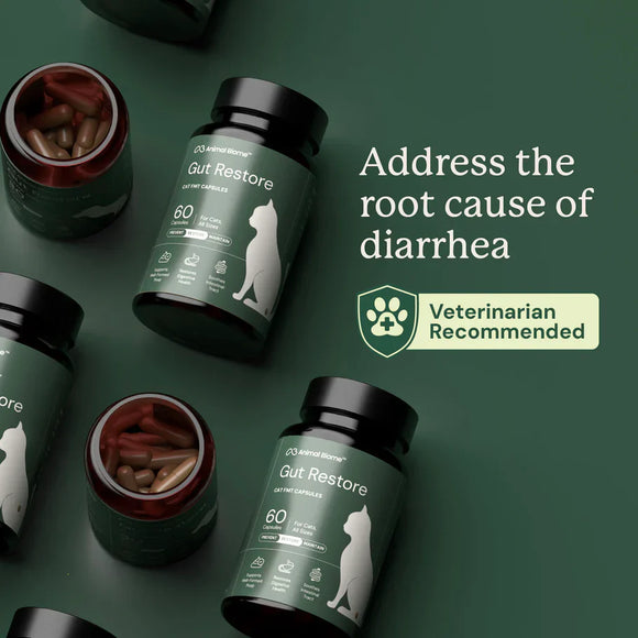 Kitty Biome Gut Restore Supplement FMT Capsules for Cats - Cat Digestive & Probiotics Supplements 2