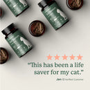 Kitty Biome Gut Restore Supplement FMT Capsules for Cats - Cat Digestive & Probiotics Supplements 6