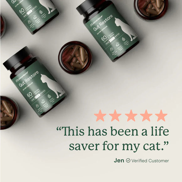 Kitty Biome Gut Restore Supplement FMT Capsules for Cats - Cat Digestive & Probiotics Supplements 6