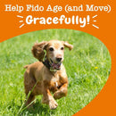 Zesty Paws Senior Advanced Mobility Bites Chicken Flavor Supplement For Dog (90 ct)