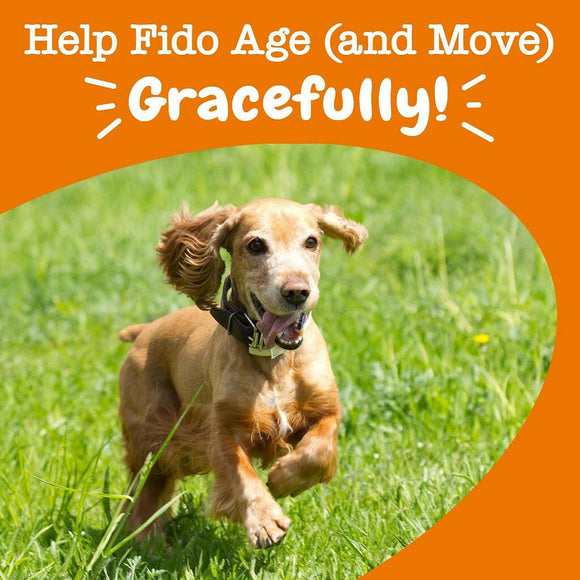 Zesty Paws Senior Advanced Mobility Bites Chicken Flavor Supplement For Dog (90 ct)