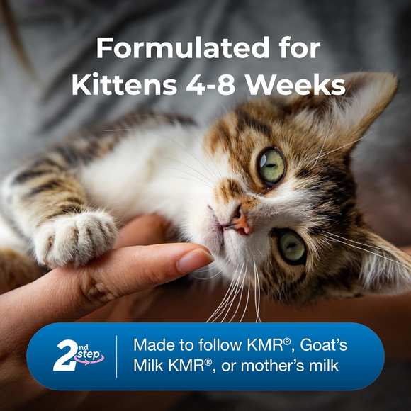 KMR 2nd Step Kitten Weaning Food (14 oz)