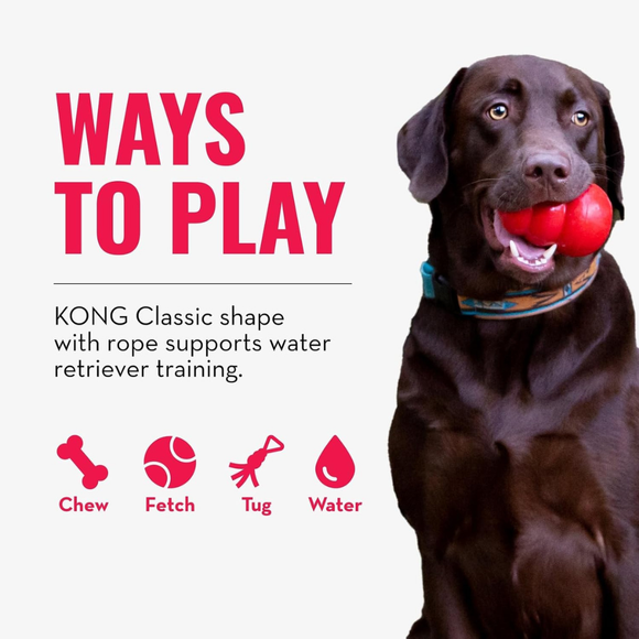 KONG Aqua Floating Dog Toy Large - Dog Toy 7