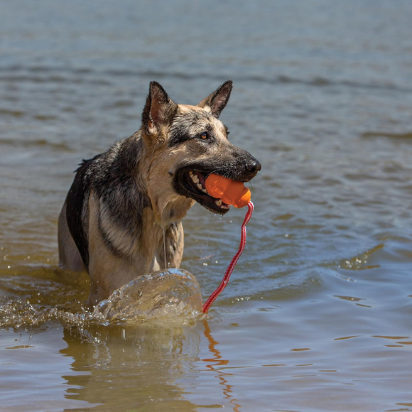 KONG Aqua Floating Dog Toy Large - Dog Toy 3