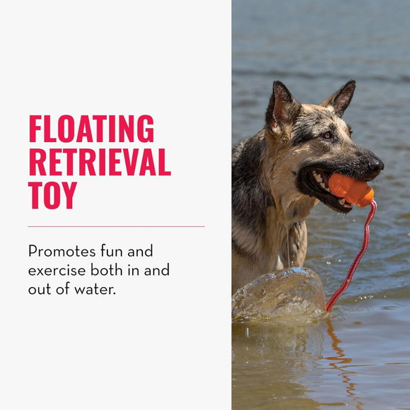 KONG Aqua Floating Dog Toy Large - Dog Toy 4