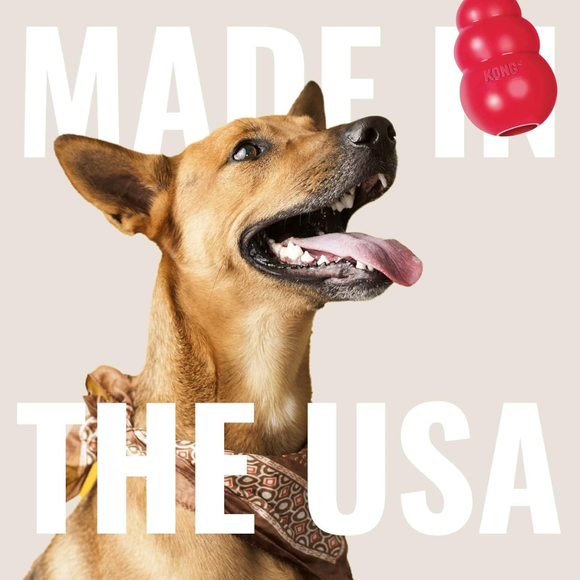 KONG Aqua Floating Dog Toy Large - Dog Toy 9