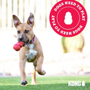 KONG Aqua Floating Dog Toy Large - Dog Toy 5