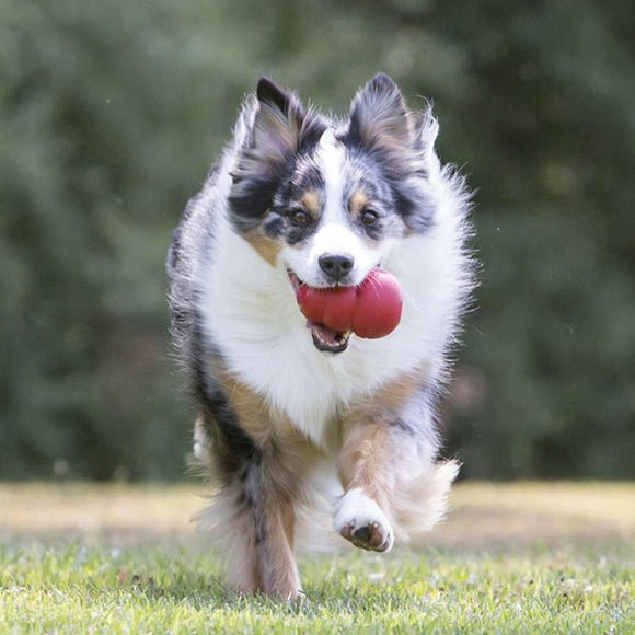 Kong Classic Toy For Dogs (Small Size)