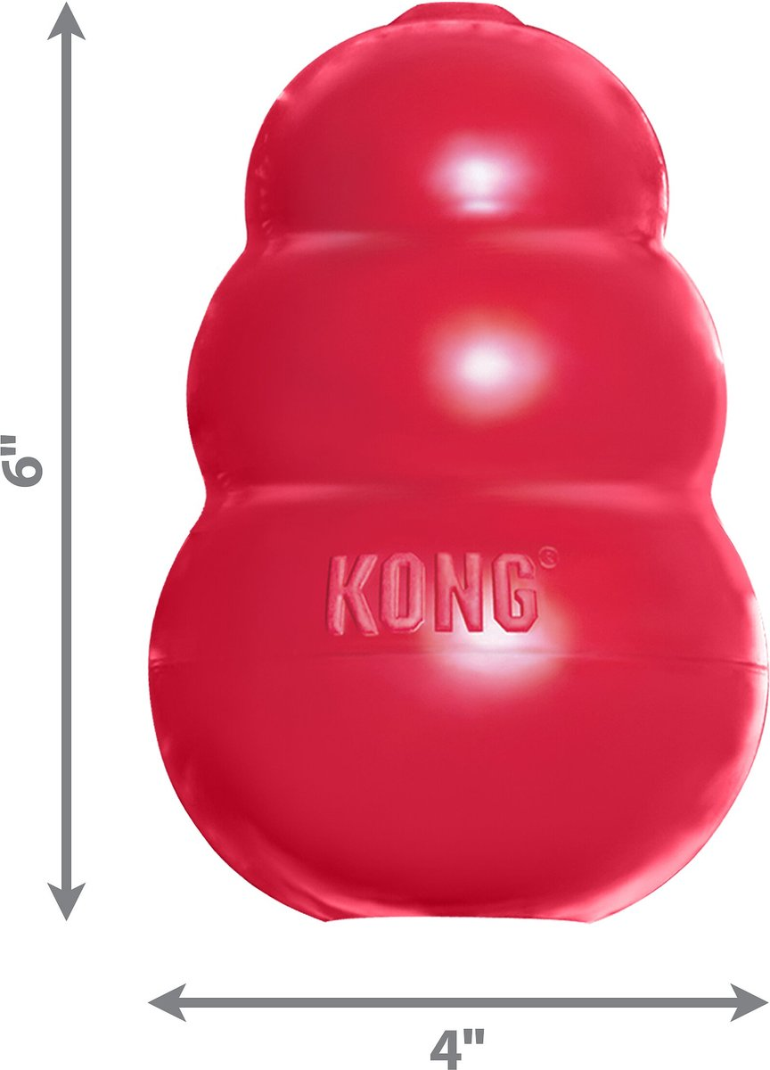 Classic KONG Hard Rubber Dental Dog Toys