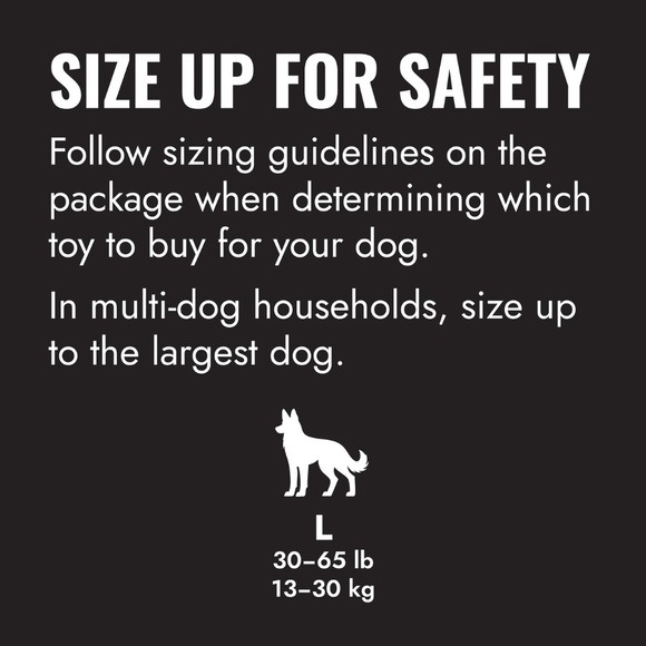 KONG Extreme Flyer - Dog Toy 4