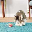 KONG Naturals Crinkle Fish Catnip Cat Toy 2 pack - Dog Toy 4