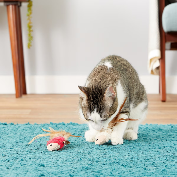 KONG Naturals Crinkle Fish Catnip Cat Toy 2 pack - Dog Toy 4