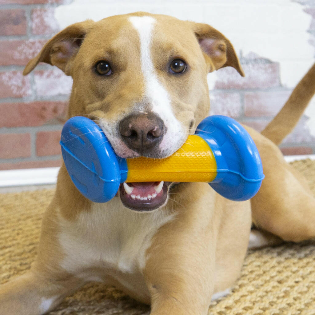 KONG Rambler Rattlez Dumbbell - Large Fetch & Chew Toy