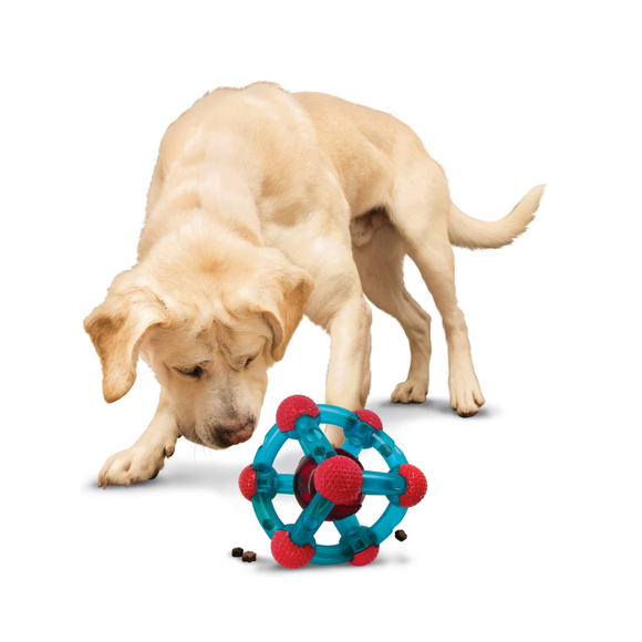 KONG Rewards Tinker Treat Dispensing Dog Toy Medium/Large - Dog Toy 3