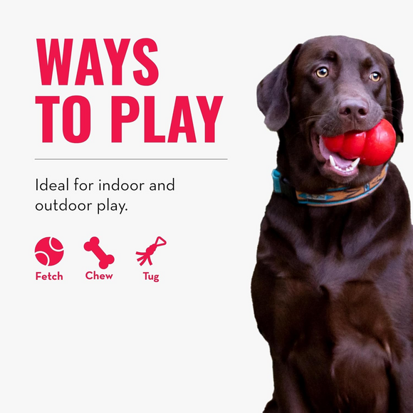 KONG Rope Bunji Dog Toy Assorted Colors - Dog Toy 3