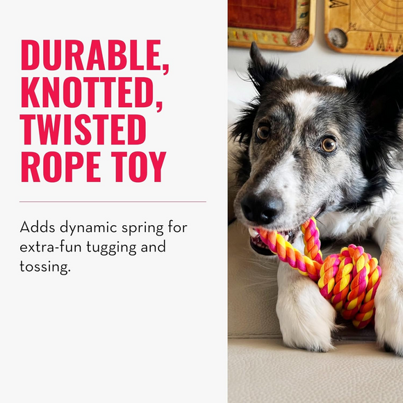 KONG Rope Bunji Dog Toy Assorted Colors - Dog Toy 4