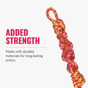 KONG Rope Bunji Dog Toy Assorted Colors - Dog Toy 2