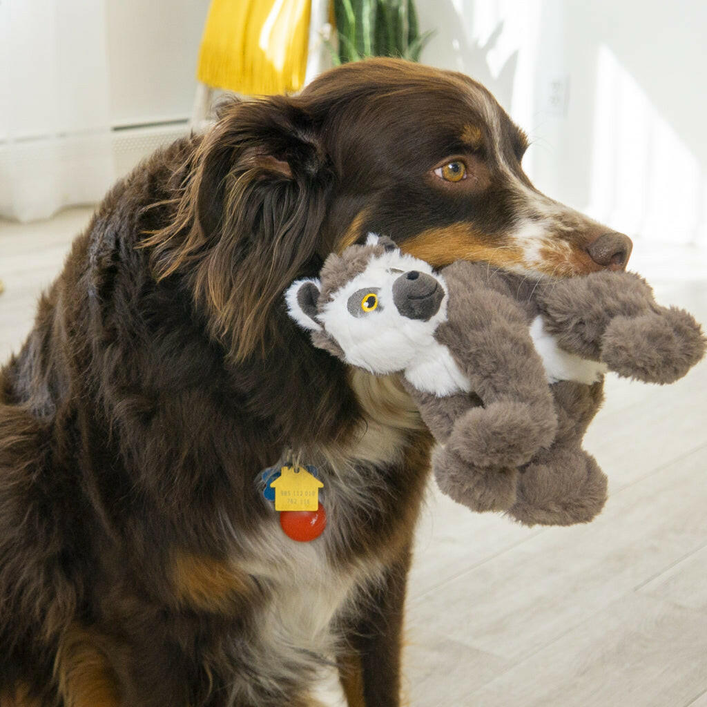 KONG - Scampers - Lemur - Medium - Dog Toy