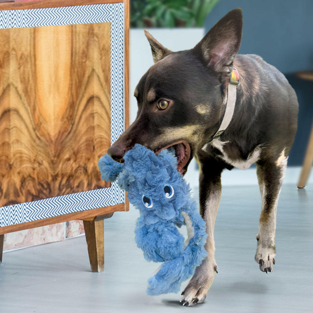 KONG Scrumplez Elephant Dog Toy - Medium & Fun for Dogs
