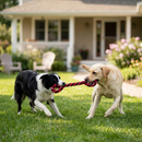 KONG Signature Rope Dog Toy - Dog Toy 3