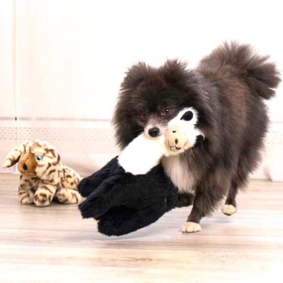 KONG Toughz Dog Toy - Dog Toy 13