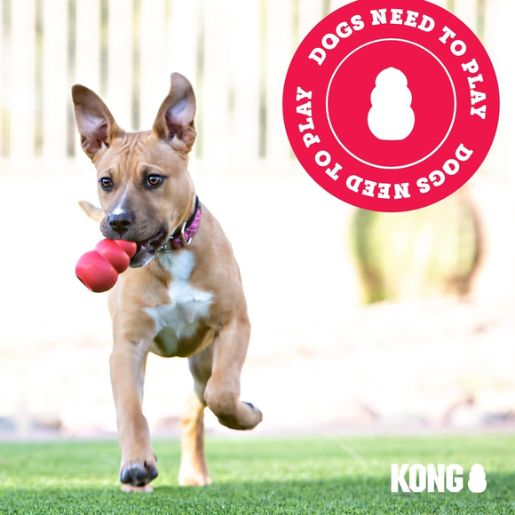 KONG Wild Low Stuff Dog Toy - Dog Toy 13
