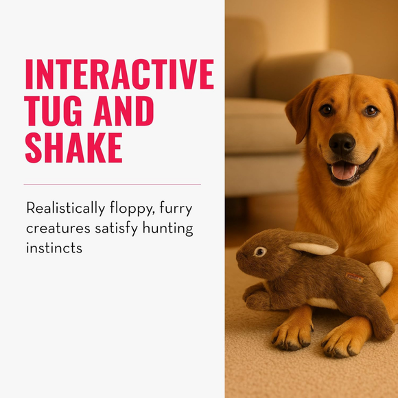 KONG Wild Low Stuff Dog Toy - Dog Toy 10