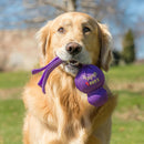 Kong Wubba Toy For Dogs -Small (assorted colors)