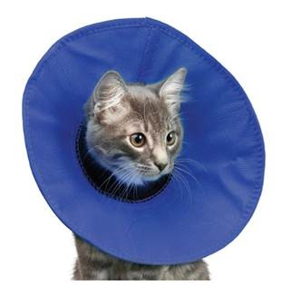 Cat wearing a blue cone-shaped pet recovery collar on a white background