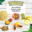 Lafeber Tropical Fruit Nutri-Berries Bird Food (10 oz)