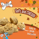 Lazy Dog Pumpkin Spice Latte Dog Treats 5-oz - Dog Treats 2