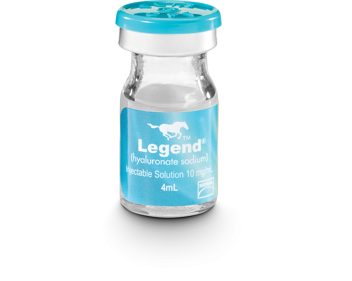 Legend Injectable Solution For Fetlock in Horses | 4 ml