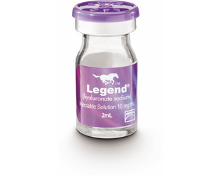 Legend (Hyaluronate Sodium) Injectable Solution, 2 ml