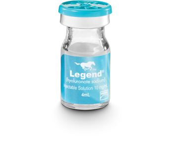 Legend (Hyaluronate Sodium) Injectable Solution, 4 ml - 0