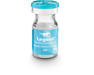 Legend (Hyaluronate Sodium) Injectable Solution, 4 ml