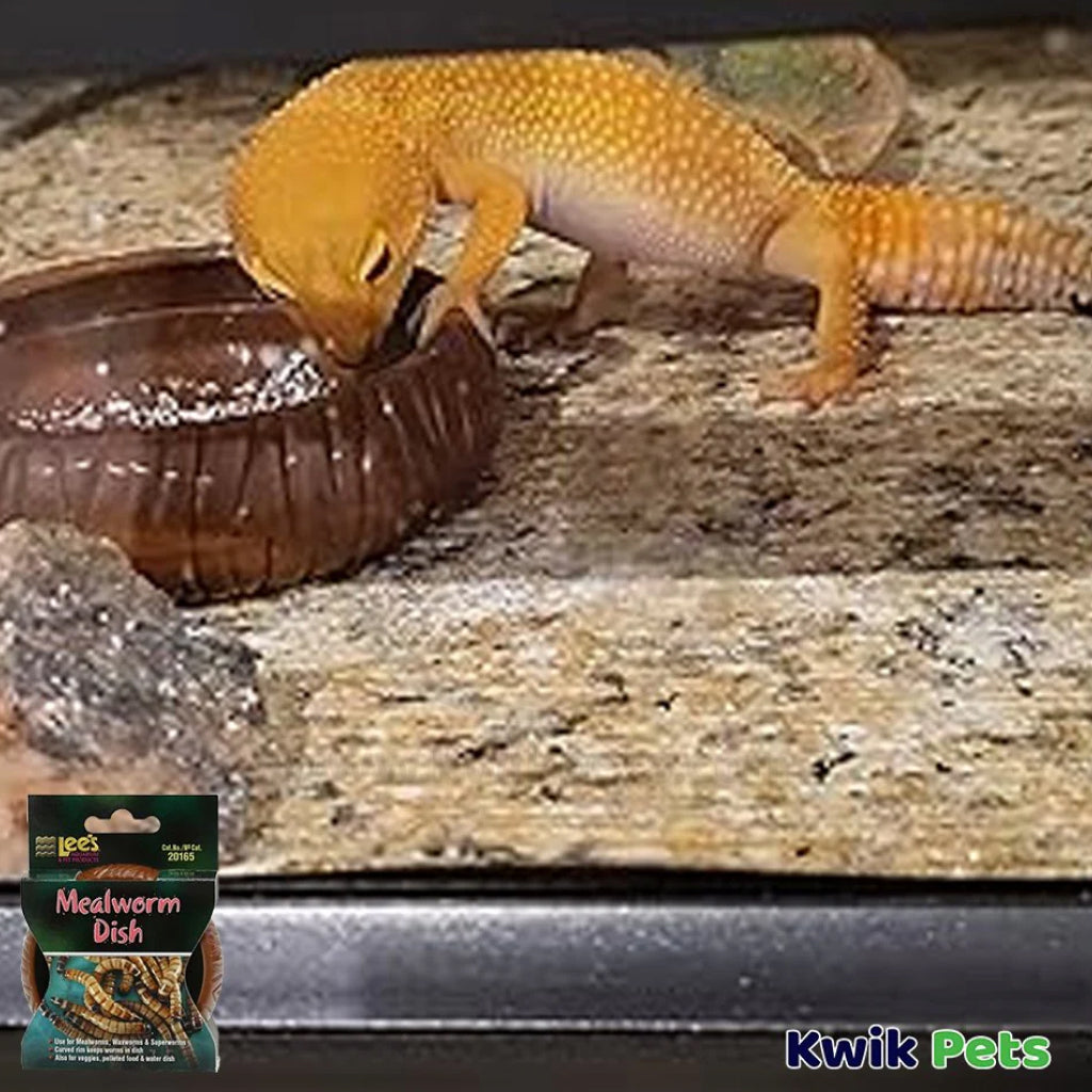 Lee's Mealworm Curved Dish for Reptiles & Birds - Mess-Free Feeding