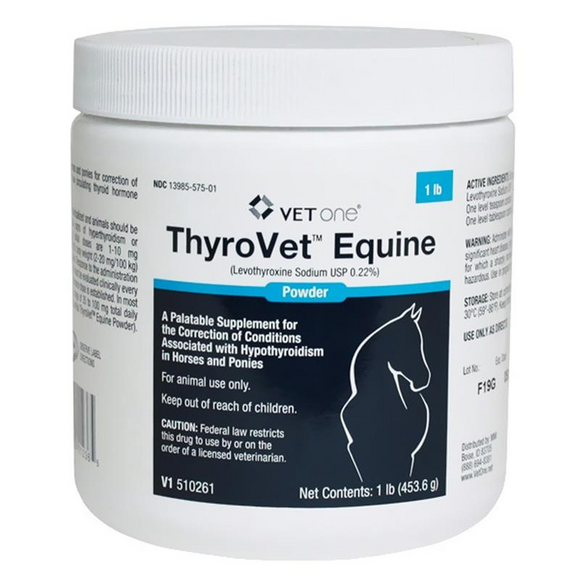 Levothyroxine (generic) Powder for Horses - 1 lb jar - Horse Thyroid Medication 1