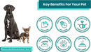 LickiMat Slomo Slow Feeding Lick Mat for Dogs