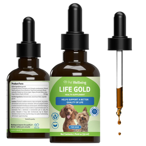 Life Gold - Trusted Care for Dog Cancer - 2-oz - Dog Vitamins & Supplements 1