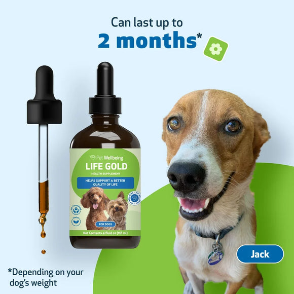 Life Gold - Trusted Care for Dog Cancer - Dog Vitamins & Supplements 13