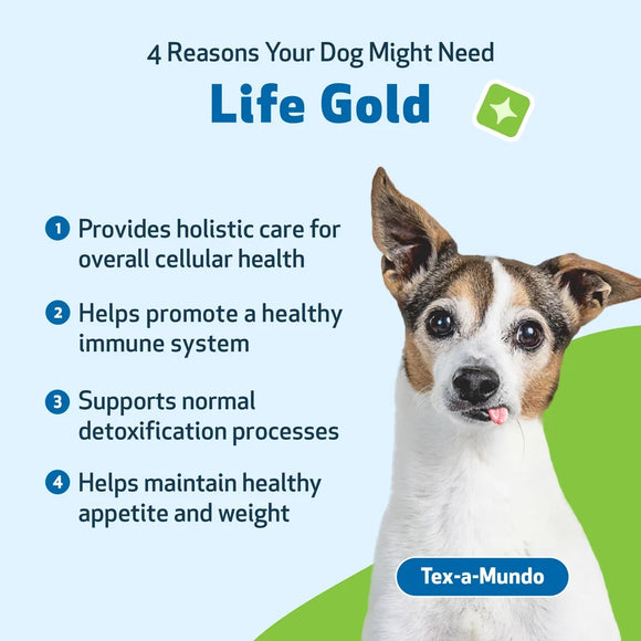 Life Gold - Trusted Care for Dog Cancer - Dog Vitamins & Supplements 5