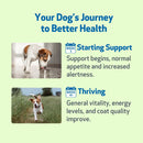 Life Gold - Trusted Care for Dog Cancer - Dog Vitamins & Supplements 12